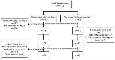 Automated acute ischemic stroke lesion delineation based on apparent diffusion coefficient thresholds